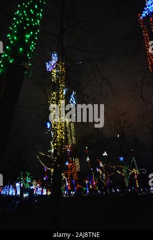 Multicolor winter bäume in leuchtenden Neues Jahr und Rozhdestvensky Girlanden von LEDs gewickelt, Glühlampen in den Park der Stadt Dnipro, Ukraine. Stockfoto