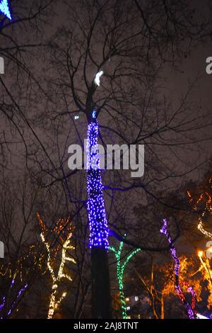 Multicolor winter bäume in leuchtenden Neues Jahr und Rozhdestvensky Girlanden von LEDs gewickelt, Glühlampen in den Park der Stadt Dnipro, Ukraine. Stockfoto