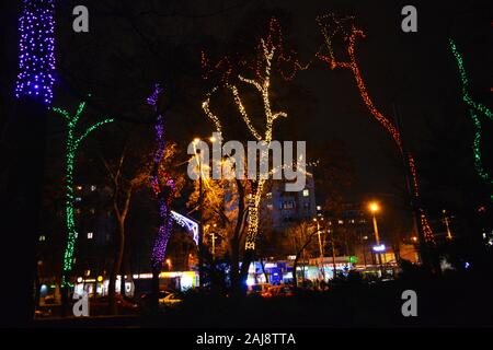 Multicolor winter bäume in leuchtenden Neues Jahr und Rozhdestvensky Girlanden von LEDs gewickelt, Glühlampen in den Park der Stadt Dnipro, Ukraine. Stockfoto