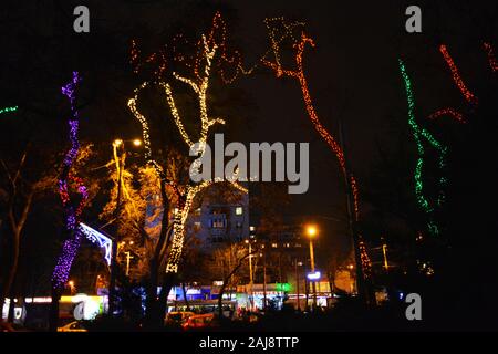 Multicolor winter bäume in leuchtenden Neues Jahr und Rozhdestvensky Girlanden von LEDs gewickelt, Glühlampen in den Park der Stadt Dnipro, Ukraine. Stockfoto