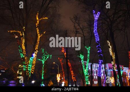 Multicolor winter bäume in leuchtenden Neues Jahr und Rozhdestvensky Girlanden von LEDs gewickelt, Glühlampen in den Park der Stadt Dnipro, Ukraine. Stockfoto