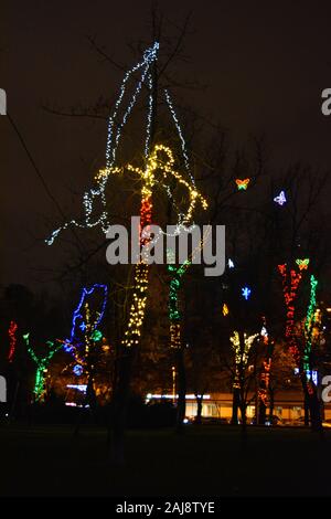 Multicolor winter bäume in leuchtenden Neues Jahr und Rozhdestvensky Girlanden von LEDs gewickelt, Glühlampen in den Park der Stadt Dnipro, Ukraine. Stockfoto