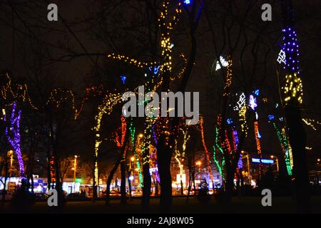 Multicolor winter bäume in leuchtenden Neues Jahr und Rozhdestvensky Girlanden von LEDs gewickelt, Glühlampen in den Park der Stadt Dnipro, Ukraine. Stockfoto