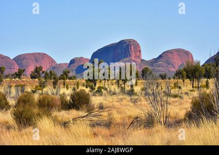 Die Olgas, Kata Tjuta National Park, Northern Territory, Australien Stockfoto