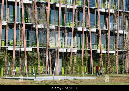 Lise-Meitner-Haus: Institut für Physik der Humboldt-Universität zu Berlin, Newtonstraße, Adlershof, Treptow-Köpenick, Berlin, Deutschland Stockfoto