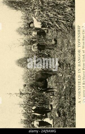 Geschichte der Bay County, Michigan, und Vertreter der Bürger;. Stockfoto