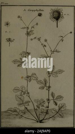 Beschreibung, vertus et usages de sept Cent dix-neuf Plantes: tant que de nos climats étrangeres; et de Cent trente-quartre Animaux, en sept Cent planches Trente, gravées en Taille-Douce, sur les desseins d'après Natur, de M de Gersault, par MM de Fehrt, Prevost, Duflos, Martinet,&c et rangées Suivant l'ordre du Livre intitulé Matiere médicale de M Geoffroy.. . Stockfoto