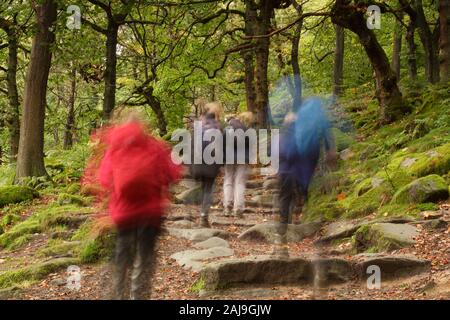 Wanderer in Padley Schlucht, einem beliebten Tal in Derbyshire Peak District National Park, in der Nähe von Sheffield, England im Herbst. Großbritannien Stockfoto