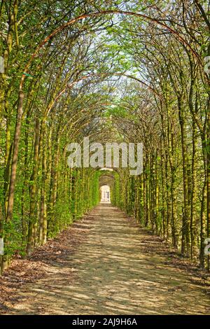 PARMA, Italien - 18 April 2018: Die Allee im Park von Palast Palazzo Ducale in La Reggia di Colorno. Stockfoto