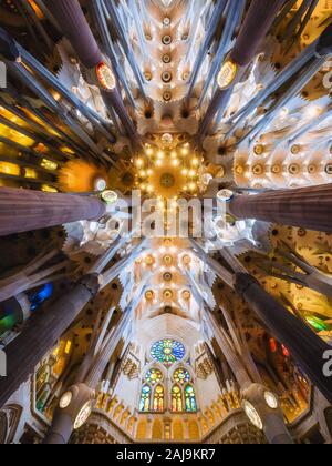 Innenräume der architektonische Sehenswürdigkeit La Sagrada Familia Kathedrale, von dem katalanischen Architekten Antoni Gaudi in Barcelona, Spanien. Stockfoto