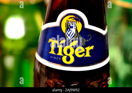 Bierflasche - Tiger Beer (Singapur) Stockfoto