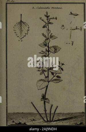 Beschreibung, vertus et usages de sept Cent dix-neuf Plantes: tant que de nos climats étrangeres; et de Cent trente-quartre Animaux, en sept Cent planches Trente, gravées en Taille-Douce, sur les desseins d'après Natur, de M de Gersault, par MM de Fehrt, Prevost, Duflos, Martinet,&c et rangées Suivant l'ordre du Livre intitulé Matiere médicale de M Geoffroy.. . ! I. Stockfoto