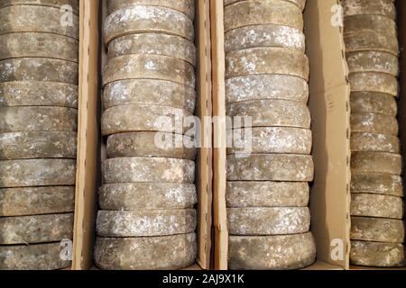 Handwerkliche tomme in der Veredelung in einem traditionellen Keller Stockfoto