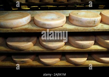 Handwerkliche tomme in der Veredelung in einem traditionellen Keller Stockfoto