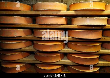 Handwerkliche beaufort Käse in der Veredelung in einem traditionellen Keller Stockfoto