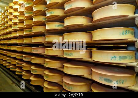 Handwerkliche beaufort Käse in der Veredelung in einem traditionellen Keller Stockfoto