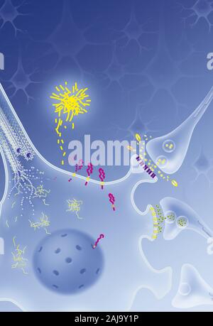 Mit neurofibrilläre Degeneration Prozess Neuron, senile Plaques, Behandlungen. Neuron im zentralen Nervensystem durch abnorme Spaltung von APP betroffen Stockfoto