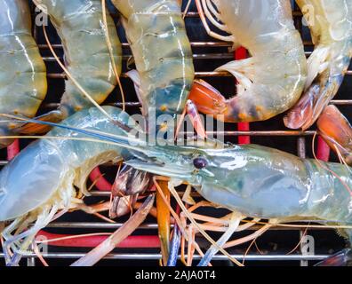 Detailansicht der riesigen Süßwasser-Garnelen sind auf das Metallgitter des elektrischen Grill für die Partei mal gegrillt. Stockfoto