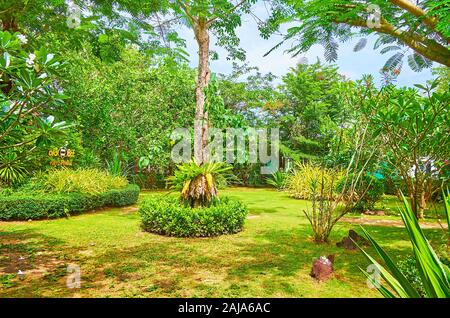 PHUKET, Thailand - 30 april, 2019: Die üppigen grünen Garten des Big Bee Farm, das ist eins von Phuket Highlights, bekannt unter den Touristen, am 30. April Stockfoto
