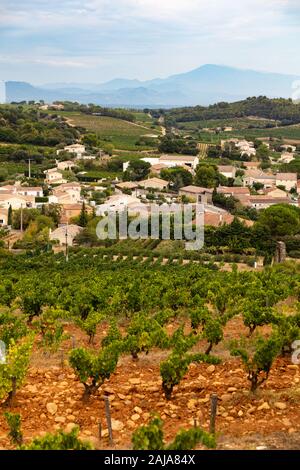 Weinberge in der Nähe von Chateauneuf-du-Pape, Provence, Frankreich, einer der besten Weine der Appellation in der Welt Stockfoto