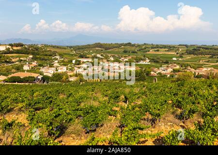 Weinberge in der Nähe von Chateauneuf-du-Pape, Provence, Frankreich, einer der besten Weine der Appellation in der Welt Stockfoto