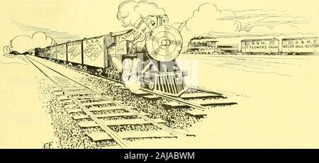 Austausch der Floristen': eine wöchentliche Medium der Interchange für Floristen, Baumschulen, seedsmen und der Handel im Allgemeinen. 10.000 LongidorumLily Pflanzen 3000 Azaleen Crimson Rambler Rosen Hortensien Spir< eas ALLGOODSPACKEDWITH CARE WELCH BROS., 15 Provinz St., Boston, Mass. Telefone MAIN 6267-0268 M[itioii FluL Tije - ists Kxebaii^t-wlitfii wiitiiiy. Stockfoto