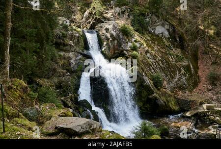 Triberger Wasserfall und Natur im Schwarzwald. Deutschlands beliebtester und höchster Wasserfall Stockfoto