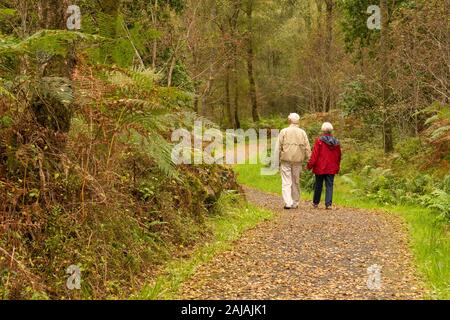 Ältere Paare halten sich an den Händen zu Fuß auf Fußweg durch den Wald Bäume im Spätsommer - Schottland, Großbritannien Stockfoto