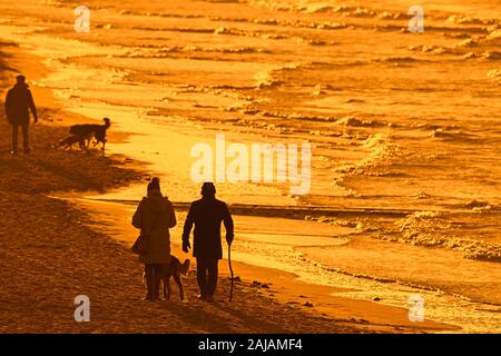 Hundebesitzer zu Fuß entlang der Küste mit freilaufenden Hunden auf sandigen Strand bei Sonnenuntergang an einem kalten Abend im Winter Stockfoto