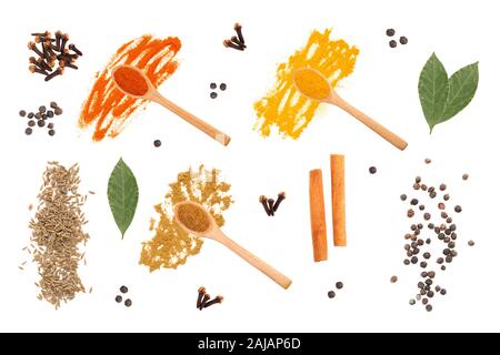 Spice auf weißem Hintergrund isoliert: Masala, rote Chili, Kurkuma, Nelken, schwarzer Pfeffer, Zimt, Cumin (Kreuzkümmel), Lorbeerblatt Stockfoto