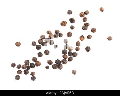 Ein paar Pfefferkörner schwarzer Pfeffer Gewürze auf weißem Hintergrund isoliert. Indische Küche, Ayurveda, Naturheilkunde Konzept Stockfoto