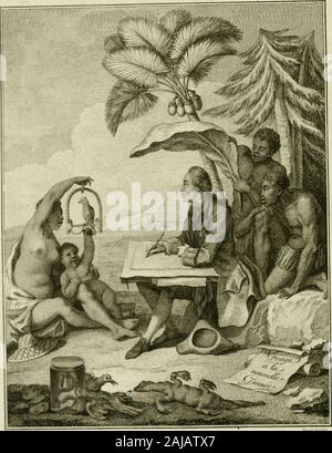 Voyage à la Nouvelle Guinea: dans lequel on trouve la Beschreibung des lieux, des Beobachtungen Körperbau & Morales, & des Details relatifs à l'histoire naturelle dans le regne Tier & le regne végétal. m. VOYvoyagelanouvel 00 Sonn Stockfoto