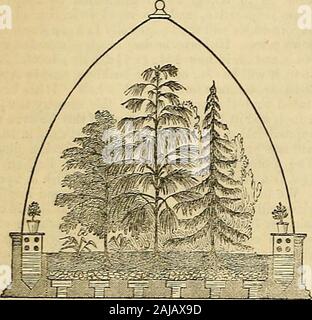 Die Gärtner' Chronik und Landwirtschaftliche Zeitung. Manpower, um von einem Ort zum anderen, indeedare nie verschoben werden, noch sollten Sie werden. Die Bewohner solcher Gebäude sollte eine morepermanent Charakter zu besitzen, zu behaupten, dass die klassischen illusionby Eine korrekte Darstellung von tropischer Vegetation in allits gorgeousness und Herrlichkeit - und warum sollte das nicht werden? die menschliche Fähigkeit, kombiniert mit Reichtum, angehoben hat herrlichen Prozent Strukturen - Paläste aus Glas^ und der enterprisinglover der Wissenschaft gefahren sein Leben in jede Vielzahl der Klimas; und doch schwärmen wie unsere coimtry ist mit Männer von scienc Stockfoto