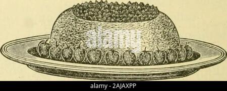 Smiley's Kochbuch und universal Haushalt führen; eine umfangreiche Sammlung von Rezepten und nützlichen Informationen, die im Zusammenhang mit jeder Abteilung der allgemeinen Ordnung und Sauberkeit. . Über die Reisbällchen. Reis formen. - Kochen Sie Reis in den Morgen und in Aber-ten Teetassen drehen; bei Kälte turnthem auf eine Servierplatte, machen ein bisschen Hohlraum oben eachone und die Öffnung withany Art von Jelly am besten gefallen füllen. Dienen flavoredcream gesüßt und mit Ihnen. Oder therice in einer großen Form an die erste Stelle setzen; wenn kalt drehen Sie auf Platte, ein Loch in der Spitze machen, es mit jellyand, Obst rund um die Basis füllen, wie in der Abbildung gezeigt Stockfoto