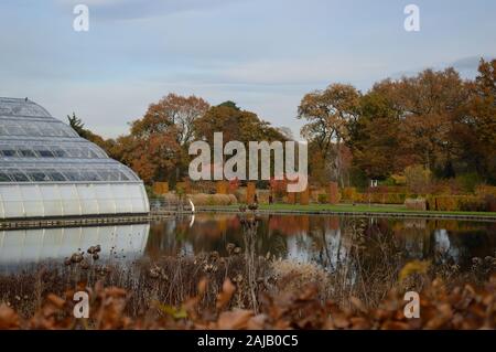 Wisley Gardens, UK - Dezember 2019: Skulpturen und Winter Lights an RHS Gärten. Stockfoto