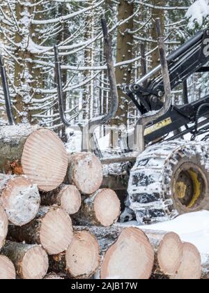 Forstwirtschaft Holzeinschlag im Winter Stockfoto