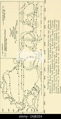 Bulletins der amerikanischen Paläontologie. g im Sub-polaren oder West Wind treiben, und werden in der Regel durch die modifizierte-welling, lokale Wirbel, komplexe Schichtung und saisonal developedcoinitrecurrents. Upwelling in Eastern Boundary Waters aus der westlichen Americasmay erlauben diskontinuierliche Verteilung von kaltem Wasser Formen wellinto tropischen und subtropischen Zonen. Emerson (1956) discussednorthern Formulare mit diskontinuierlichen reicht aus südlichen Cali-fornia und Mexiko. Seine neue Kollektion und Pleistozäne col-Lektionen von Punta China, Baja California, enthalten mehrere Coldwater Organismen (aber keine Fusitritons), Su Stockfoto