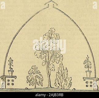 Die Gärtner' Chronik und Landwirtschaftliche Zeitung. vorgeschriebenen der Sonne, obwohl groß, wird nicht erhöht byarlificial bedeutet wie in Glas - Häuser, in denen die Spannung der Atmosphäre immense becomts; der junge juicyfoliage ist in der Folge gezwungen, mit itsmoisture Teil, und es Widerrist in einer Stunde. Die Zulassung ofair zum Absenken der Temperatur, oder eher die Temperatur zu preventthe aus so sehr rasant, ist apoint zu oft übersehen, weil es nicht beenso eindeutig durch diejenigen, die sie aufbauen bouses forplants, wie durch jene, die Pflanzen wachsen in ihnen verstanden. Almostall der großen Anlage - Strukturen, w Stockfoto