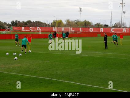 Palma de Mallorca, Spanien. 03 Jan, 2020. Fußball: Bundesliga, Trainingslager SV Werder Bremen auf dem Trainingsplatz der RCD Mallorca. Die Spieler des SV Werder Bremen auf das Spielfeld. Credit: Clara Margais/dpa/Alamy leben Nachrichten Stockfoto