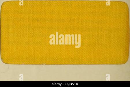 Revue générale des Mati'eres colorantes et des industries qui s'y rattachent. Stockfoto