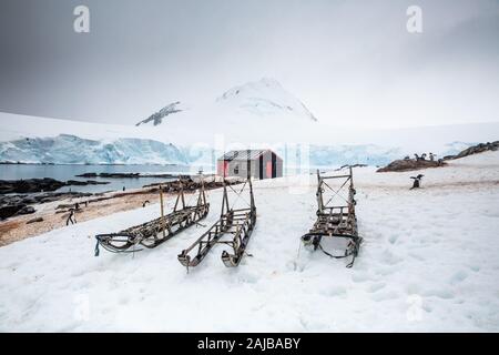 Holz Schlitten bei Port Lockroy (Penguin Post), Antarktis Stockfoto