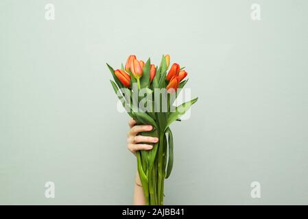 Rote Tulpen. Bunte Karten für Muttertag, Geburtstag, den Internationalen Tag der Frau am 8. März Stockfoto