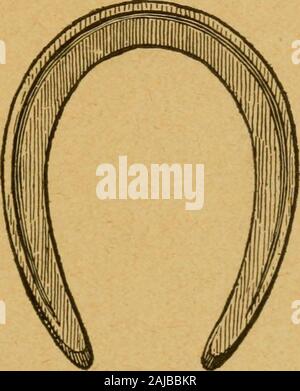 Die praktischen horseshoer ist eine Sammlung von Artikeln über horseshoeing in allen seinen Zweigen, die von Zeit zu Zeit in den Spalten "Der Schmied und Stellmacher" erschienen sind. . Ein Vierteljahrhundert haben viel von ihrem Erfolg bygiving besondere Aufmerksamkeit zu beschlagen die Flieger Sie trainedand fuhr erreicht. Dan Mace, dessen Vorrangstellung als areinsman brachte ihm die soubriquet des Assistenten von theSulkey, war einer der ersten professionellen Fahrern DIE PRAKTISCHE HORSESHOER zu machen. 240 schliessen Studie zu diesem Thema, und seine schnelle Wahrnehmung enabledhim, um zu sehen, wo viele Übel resultierende Stockfoto