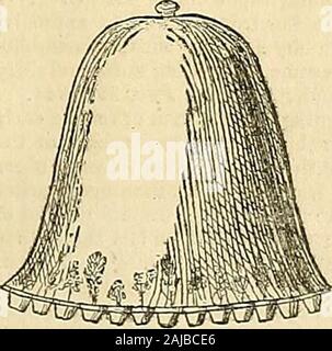 Die Gärtner' Chronik und Landwirtschaftliche Zeitung. ater Rohre, entersthe Loch des irdenen Topf, Lodges in den Topf, die isinverted, und hält die Stecklinge, die cir gepflanzt werden besonders um ihn herum, in der Bedingung günstigsten totheir Vegetation; diese Regelung stellt auch eine realadvantage, nämlich, dass die Wurzeln der Stecklinge nicht forcethemselves auf der Anderen, wie in den alten Methoden: theymay leicht danach getrennt werden. Nr. VII Bell-Glasses für Stecklinge. - Die grüne Glocke - Brille namens Melone bell - Gläser sind in der Regel für Vermehrung; aber die jüngsten und wiederholten Gerichtsverhandlungen, andfreque Stockfoto