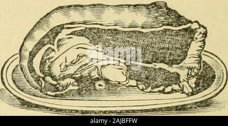 Smiley's Kochbuch und universal Haushalt führen; eine umfangreiche Sammlung von Rezepten und nützlichen Informationen, die im Zusammenhang mit jeder Abteilung der allgemeinen Ordnung und Sauberkeit. . Eef, die Knochen zu entfernen, setzen Sie Scheiben von Talg in den Boden eines tiefen Topf, und braten Sie das Fett; die Bits der Talg in der Unterseite der Wasserkocher lassen, im b (^ ef in einer runden Form, und ein Glas heisses Wasser hinzu; setzen Sie den Herd, wo es langsam kochen sollen. Abdeckung gut nach dem Besprühen mit etwas Salz, Pfeffer und Kräutern, wenn gewünscht. Es sollte Kochen 2 oder 3 Stunden, und endlich aufdecken und schnell kochen alle watej, bissie beginnt zu braten. Stockfoto