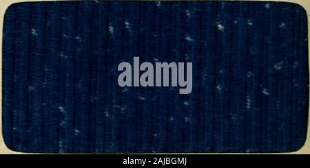 Revue générale des Mati'eres colorantes et des industries qui s'y rattachent. Stockfoto