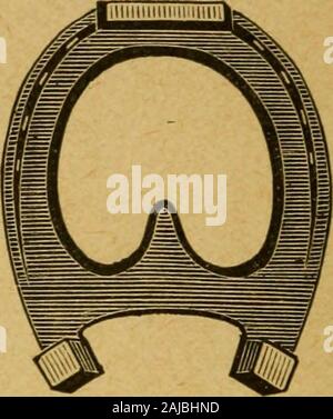 Die praktischen horseshoer ist eine Sammlung von Artikeln über horseshoeing in allen seinen Zweigen, die von Zeit zu Zeit in den Spalten "Der Schmied und Stellmacher" erschienen sind. . Vorrichtungen. 132 und 133 - Zwei andere Formen der Bar Schuhe. ist im Dunkeln mit, dass kurze Ausdruck. Es gibt eine Idee, himbut alles andere mit sich selbst liegt. Eine Bar Schuh workssome veryfine Kuren gelegentlich, und es wäre eine benefitto shoers, wenn ein Schnitt und eine Beschreibung der jeweils von der Art Stockfoto