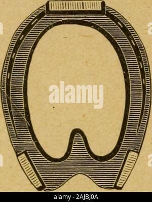 Die praktischen horseshoer ist eine Sammlung von Artikeln über horseshoeing in allen seinen Zweigen, die von Zeit zu Zeit in den Spalten "Der Schmied und Stellmacher" erschienen sind. . Abb. 131 - eine Form der Bar Schuh. erinary Chirurgie. Alle Methoden, die Ihnen selbst, das, was die meisten akzeptabel ist für den vorliegenden Fall ist eine gesucht. Praktische Erfahrungen öffnet den Weg für thejudgment zu wählen. Dann kommt die praktische Prüfung. Wenn die Traverse von einem Schuh auf den weichen Teil oder extremit^^ der Frosch liegt ist es apt Schädigung zu verursachen, aber wenn es um placedfarther Richtung der Punkt es re Stockfoto