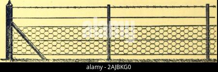C Jennings & Co: Preisliste - - - - März 1., 1913. . X A in. oder gleich, 2 ft. im Boden, drei liniender Verzinkt 7-ply-Strang Draht Nr. 8 W. G., und eine obere Zeile des GalvanizedBarbed Draht. Zum Strand Drähte Verzinkter Draht Netting, 14. Gitter befestigt, 18 W. G. (Mittlere Qualität), 3! Ft Breite für die 3 ft. oberirdisch und in Zuordnung 6. Entlang der Oberfläche oder Ausheben von 6 in.. Eine strongWrought Bügeleisen belasten Säule pro 100 Yards der Zaun ist. Wenn die Verrechnung Nr. 17 Gauge, Id. pro Hof extra. Gespannten DRAHT BERG SCHAFE UND RINDER ZÄUNE.. ? I Nr. 5162. Schafe und Lämmer. Nr. 5163 Stockfoto