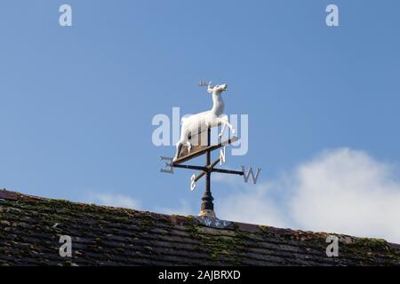 White Hart Hirsch Wetterfahne auf einem Fliesen- haus dach in Reigate, Surrey UK Stockfoto